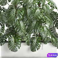 Beautiful lush exotic thickets of plants in a white potted flowerbed with a Monstera flower. Set 669. 3D Model Vray