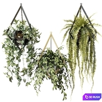 Ampel plants in hanging pots with rhombuses 3D Model Vray
