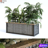 Plant in box set 110 3D Model Vray, Corona