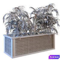 Plant in box set 110 3D Model Vray, Corona