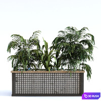 Plant in box set 110 3D Model Vray, Corona