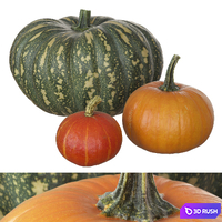 Pumpkins 3D Model Vray, Corona