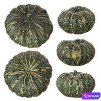 Pumpkins 3D Model Vray, Corona