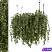 Indoor Hanging Plants in Metal Box - Set 445 3D Model Vray, Corona