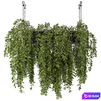 Indoor Hanging Plants in Metal Box - Set 445 3D Model Vray, Corona
