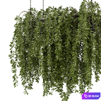 Indoor Hanging Plants in Metal Box - Set 445 3D Model Vray, Corona