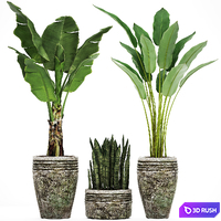 Collection of plants in pots 37. banana, bush, strelitzia, sansevieria, outdoor pot, flowerpot 3D Model Vray