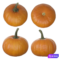 Pumpkins 3D Model Vray, Corona