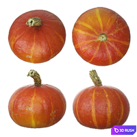 Pumpkins 3D Model Vray, Corona