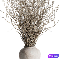 Dried branches with concrete vase - bouquet 21 3D Model Vray, Corona