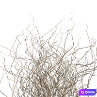 Dried branches with concrete vase - bouquet 21 3D Model Vray, Corona