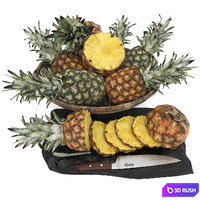 Bowl of pineapples 3D Model Vray, Corona