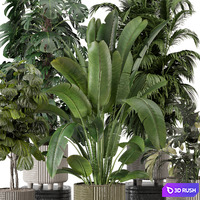 Indoor Planters in Cecilia Ficonstone Pot - Set 969 3D Model Vray, Corona