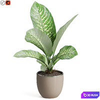 Plants collection 768 3D Model Vray, Corona