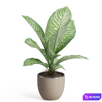 Plants collection 768 3D Model Vray, Corona