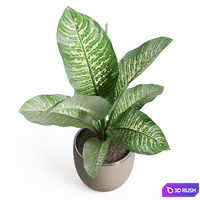 Plants collection 768 3D Model Vray, Corona