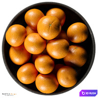 Crate &amp; Barrel - Riki Black Footed Bowl with Oranges 3D Model Corona