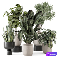 Indoor Plants in rusty Concrete Pot - Set 1286 3D Model Vray, Corona