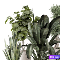Indoor Plants in rusty Concrete Pot - Set 1286 3D Model Vray, Corona