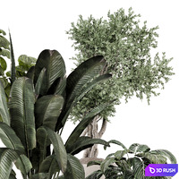 Indoor Plants in rusty Concrete Pot - Set 1286 3D Model Vray, Corona