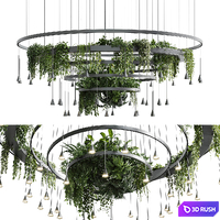 Circle pot light pendant plant light hanging 12 3D Model Corona