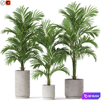 Plants collection 918 3D Model Vray, Corona