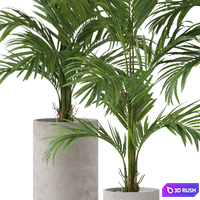 Plants collection 918 3D Model Vray, Corona