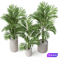 Plants collection 918 3D Model Vray, Corona