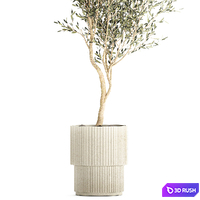 Beautiful decorative olive tree in a white flower pot, landscaping. 1249 3D Model Vray