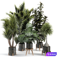 İndoor plant collection 001 3D Model Vray