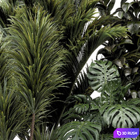 İndoor plant collection 001 3D Model Vray