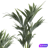 Beautiful little Howea palm tree in a white pot. Plant collection 1291 3D Model Vray