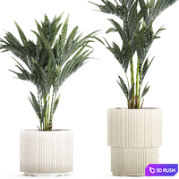 Beautiful little Howea palm tree in a white pot. Plant collection 1291 3D Model Vray