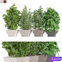 Plants collection 944 3D Model Vray, Corona