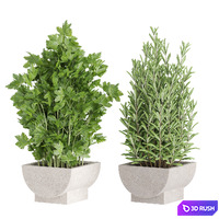 Plants collection 944 3D Model Vray, Corona