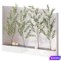 Indoor Plant Set 3D Model Corona
