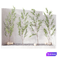 Indoor Plant Set 3D Model Corona
