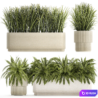 Collection of plants bushes and herbs in outdoor pots with Ferns. Set of plants 1338 3D Model Vray