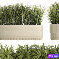 Collection of plants bushes and herbs in outdoor pots with Ferns. Set of plants 1338 3D Model Vray
