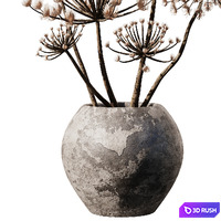 Dry Pampas in old pot 3D Model Vray, Corona