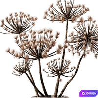 Dry Pampas in old pot 3D Model Vray, Corona
