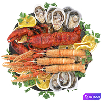Seafood platter of langoustine lobster and oyster 3D Model Vray, Corona