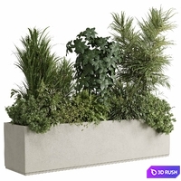 Concrete box plants on stand - set indoor plant 445 3D Model Vray, Corona