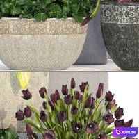Collection of plants 193. Landscape design, outdoor pots, garden, flowers, topiary, boxwood, bushes, classic, tulips 3D Model Vray