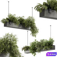 Indoor Plant 636 - Hanging Plants 3D Model Vray, Corona