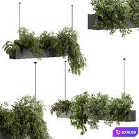 Indoor Plant 636 - Hanging Plants 3D Model Vray, Corona