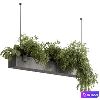 Indoor Plant 636 - Hanging Plants 3D Model Vray, Corona