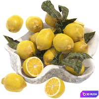 Bowl of yellow lemons 3D Model Vray, Corona