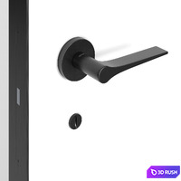 Hidden doors up to the ceiling 3D Model Corona