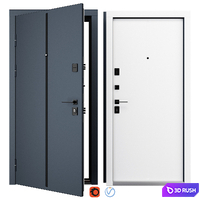 Entrance metal door Line (Fort)